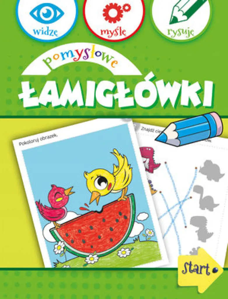 Książka - Pomysłowe łamigłówki