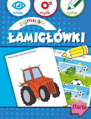 Książka - Zajmujące łamigłówki