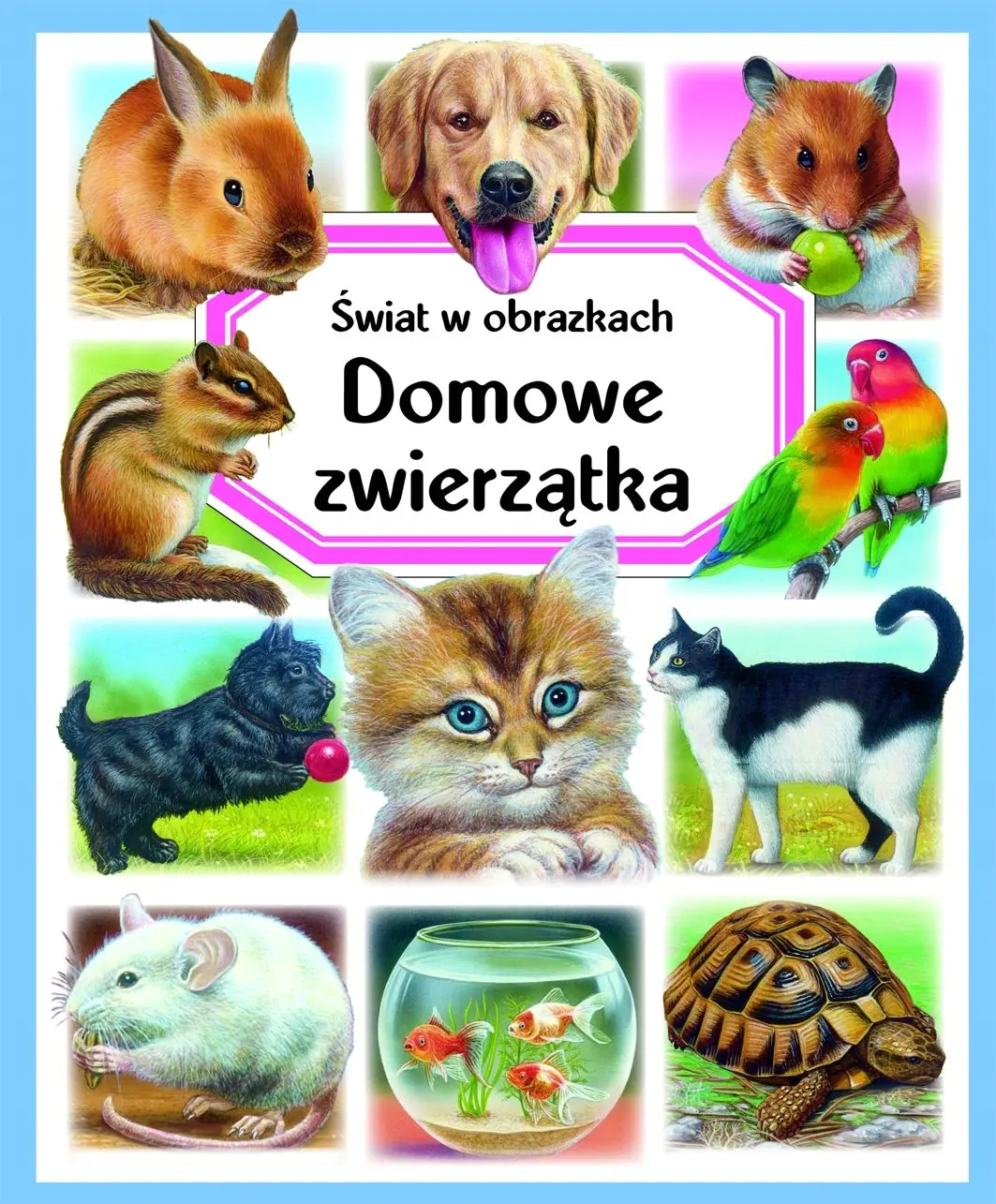 Książka - Świat w obrazkach Domowe zwierzątka