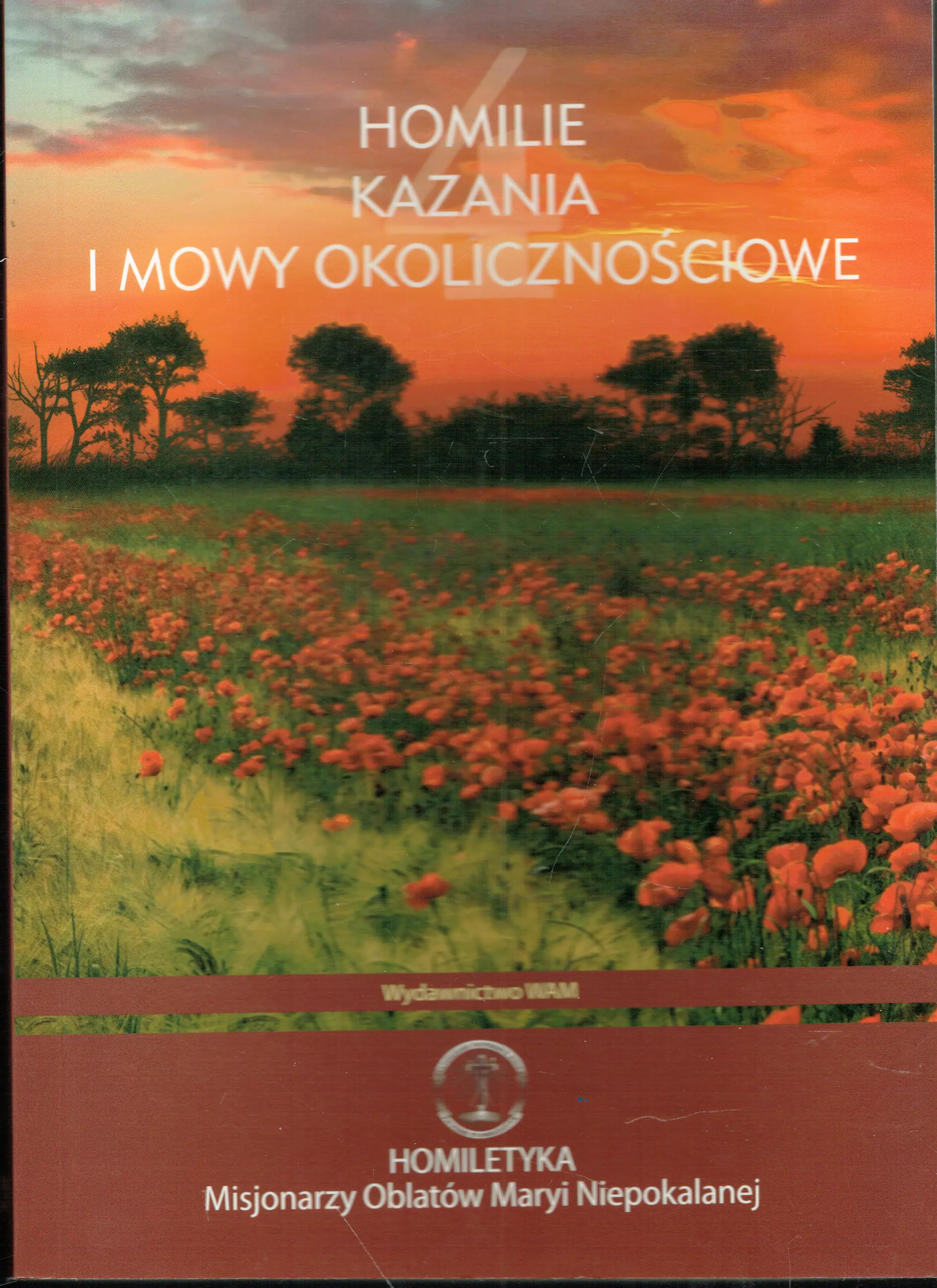 Książka - Homilie, kazania i mowy okolicznościowe T4