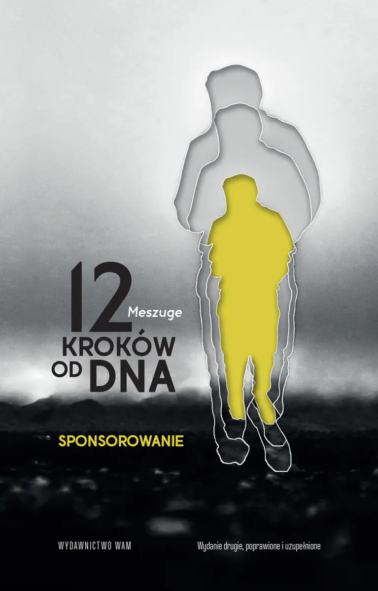 Książka - 12 kroków od dna. Sponsorowanie