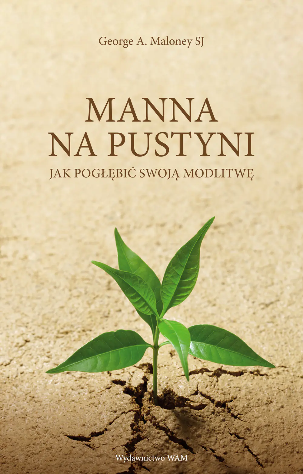 Książka - Manna na pustyni