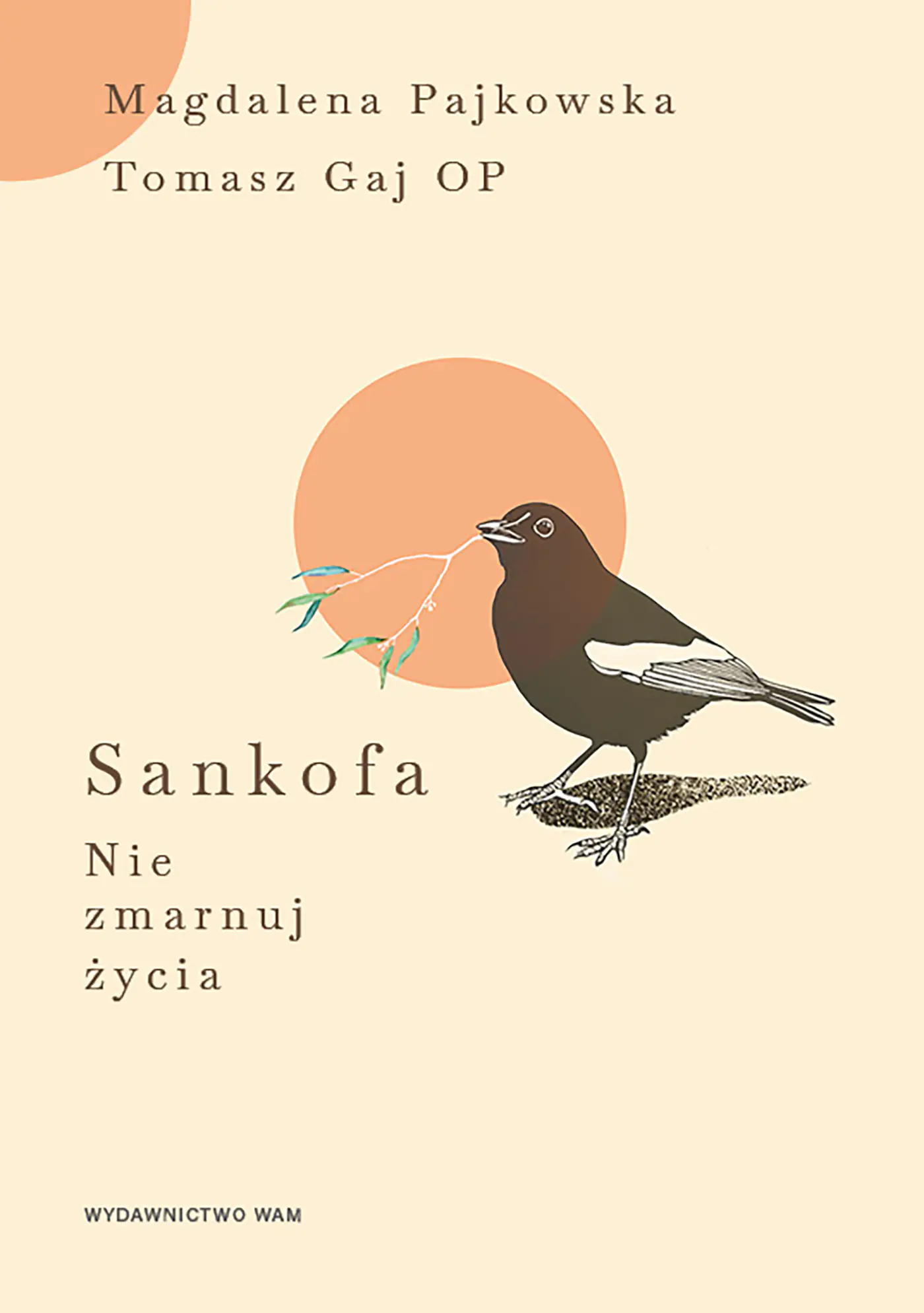 Książka - Sankofa. Nie zmarnuj życia