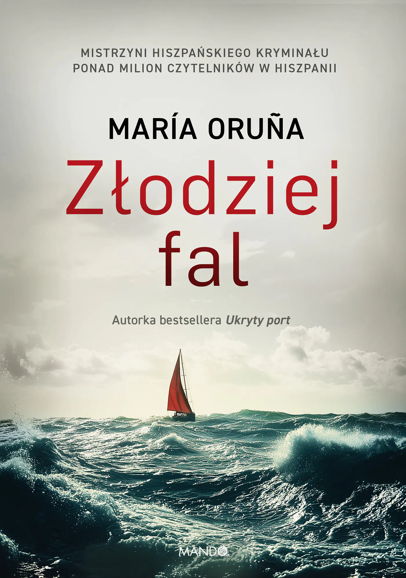 Książka - Złodziej fal