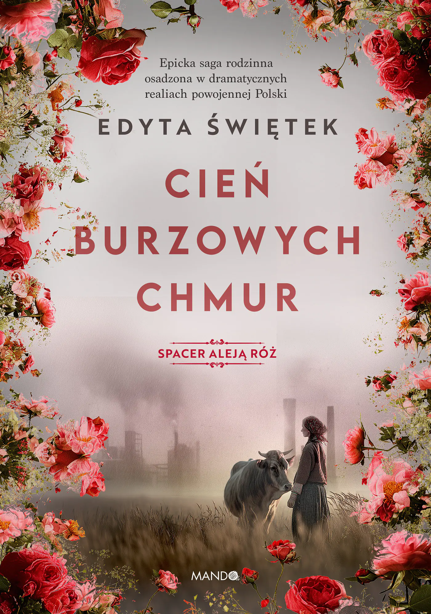Książka - Cień burzowych chmur
