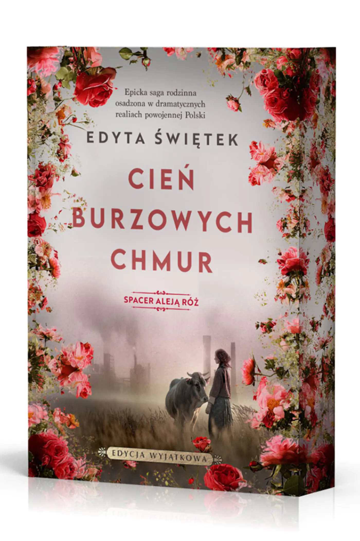 Książka - Cień burzowych chmur. Spacer Aleją Róż. Tom 1 (barwione brzegi)