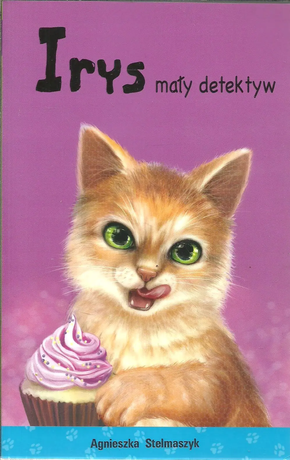 Książka - Irys mały detektyw