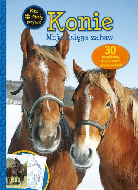 Książka - Konie. Moja księga zabaw. Kto mnie przytuli?