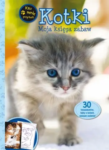 Książka - Kotki. Moja księga zabaw
