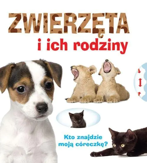 Książka - Kto znajdzie? Zwierzęta i ich rodziny
