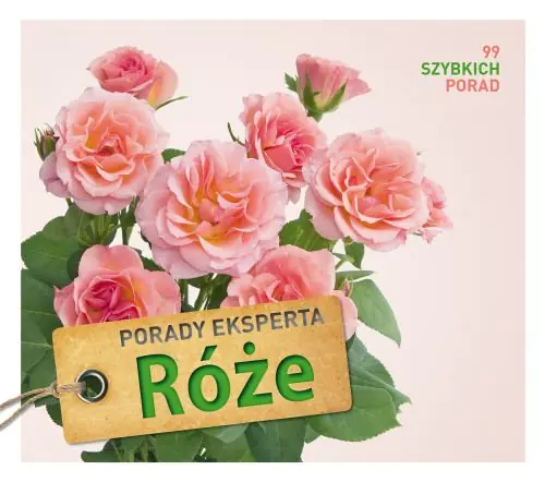 Książka - Porady eksperta. Róże