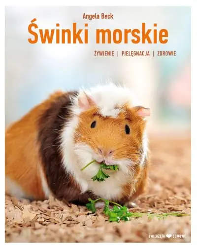 Książka - Świnki morskie