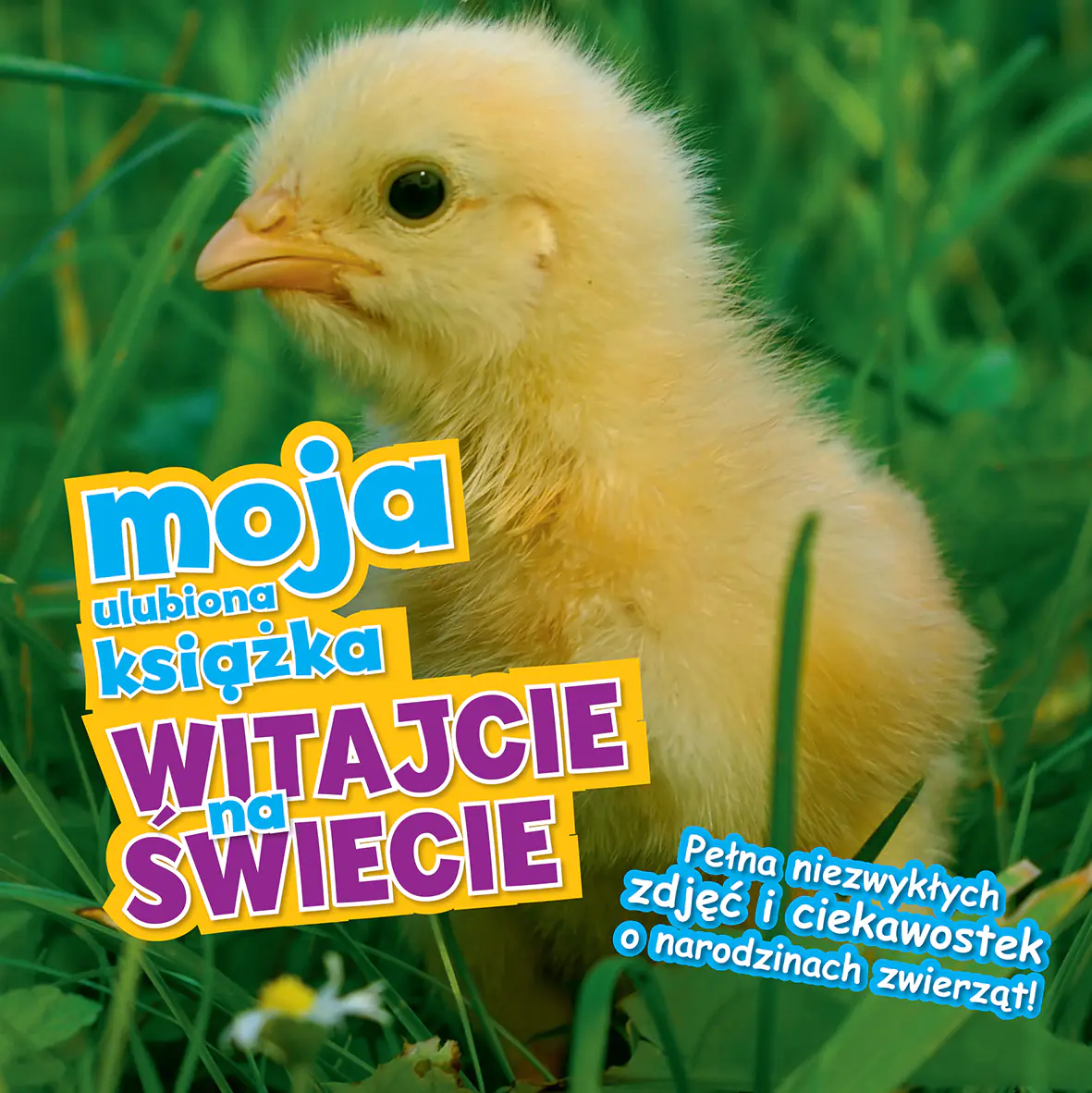 Książka - Moja ulubiona książka. Witajcie na świecie