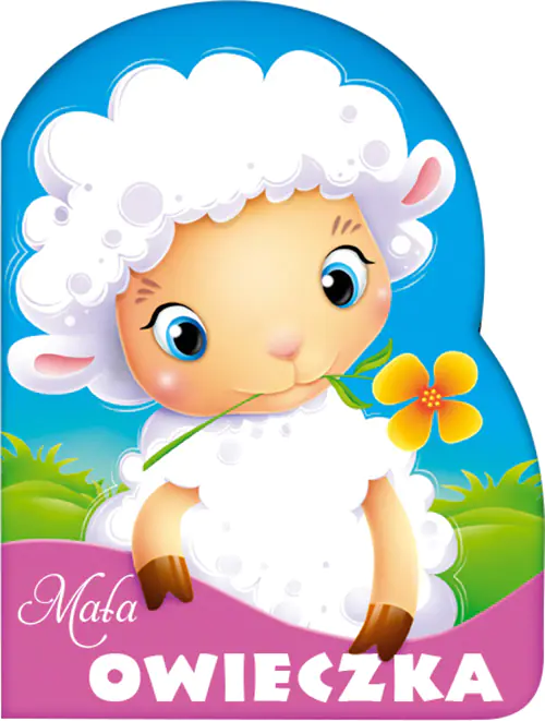 Książka - Mała owieczka