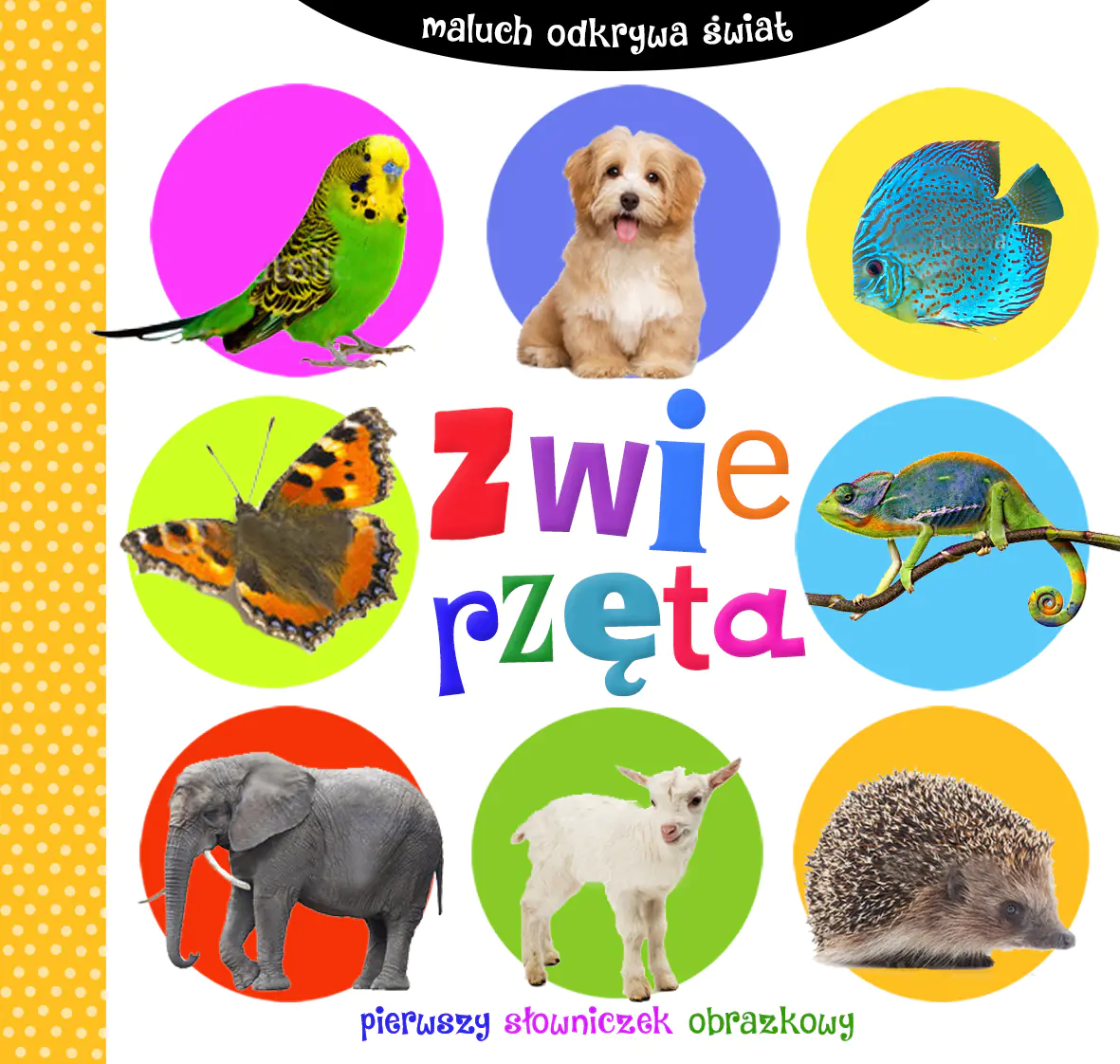 Książka - Zwierzęta. Maluch odkrywa świat