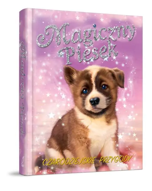 Książka - Magiczny piesek. Czarodziejskie przygody