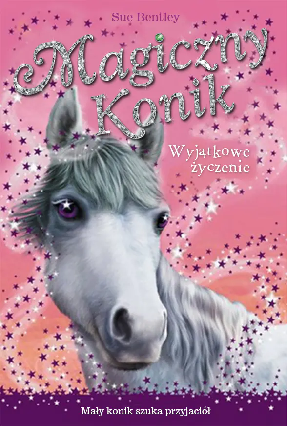 Książka - Magiczny konik. Wyjątkowe życzenie