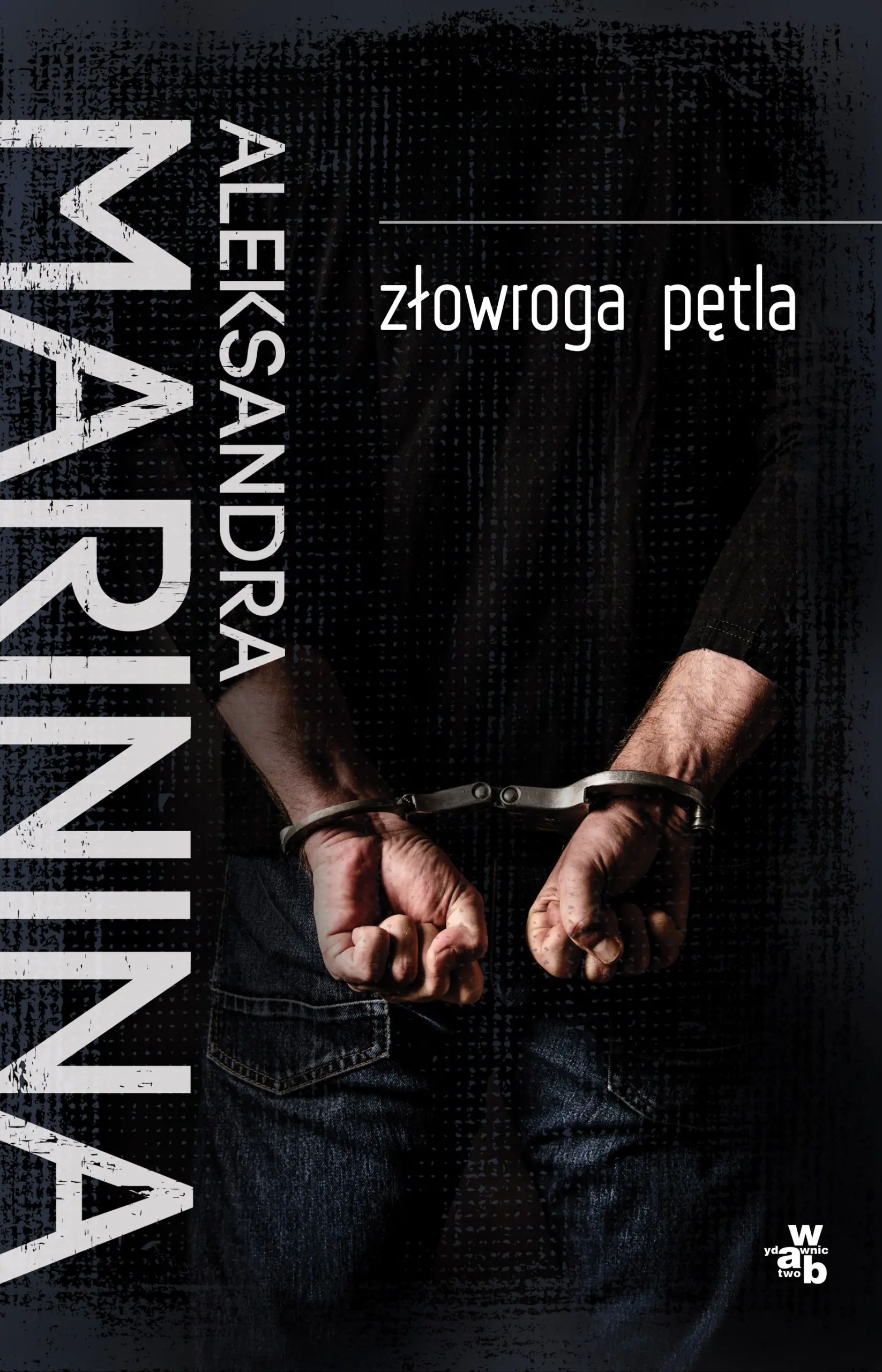 Książka - Złowroga pętla. Anastazja Kamieńska. Tom 5