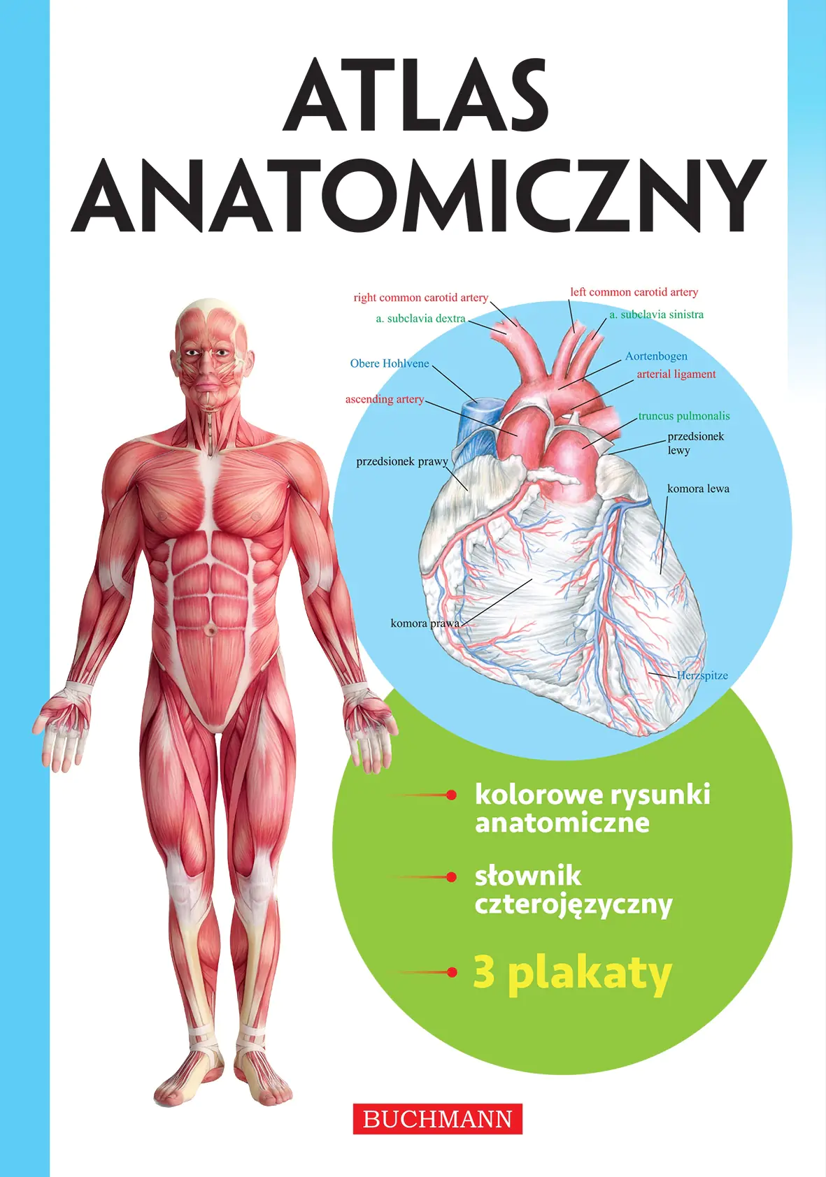 Książka - Atlas anatomiczny
