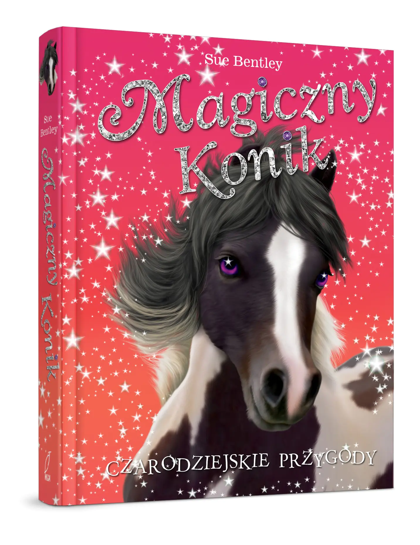 Książka - Magiczny konik. Czarodziejskie przygody