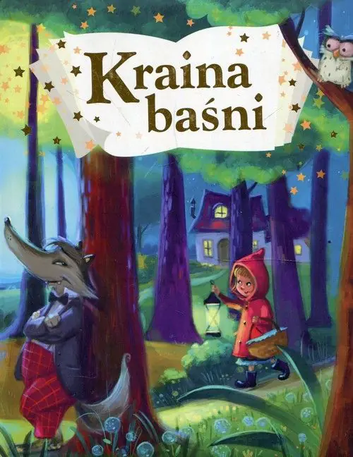 Książka - Kraina baśni