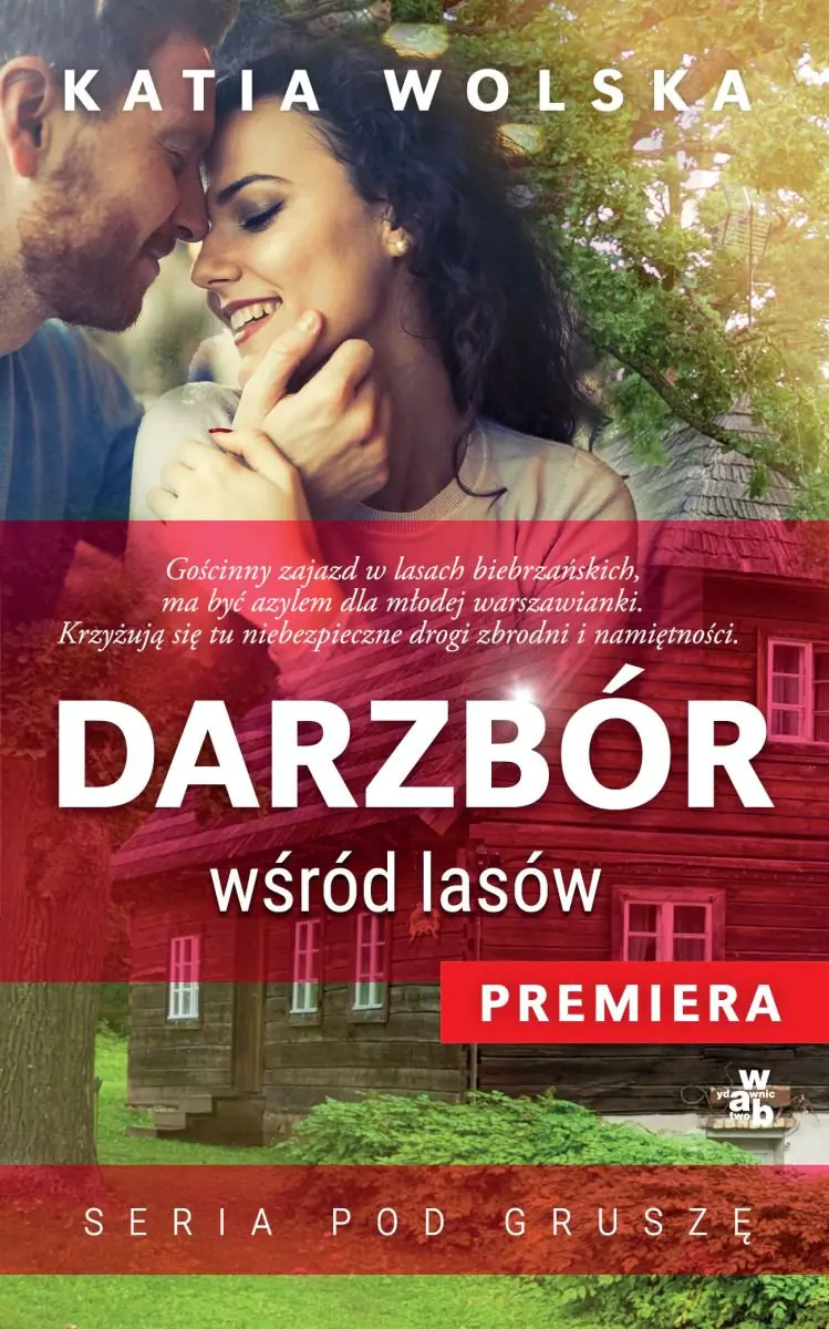 Książka - Darzbór wśród lasów
