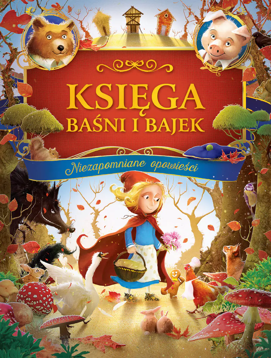 Książka - Księga baśni i bajek. Niezapomniane opowieści