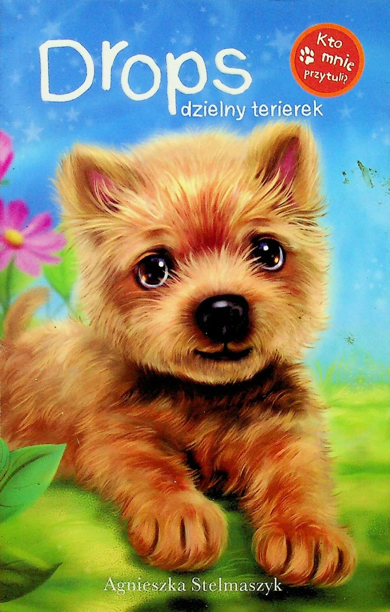 Książka - Kto mnie przytuli? Dropsik dzielny terierek