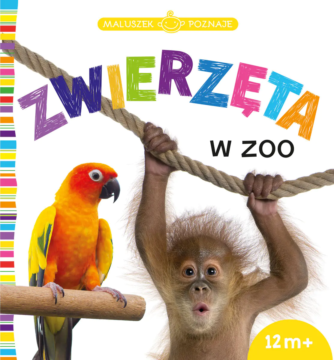 Książka - Maluszek poznaje. Zwierzęta w zoo