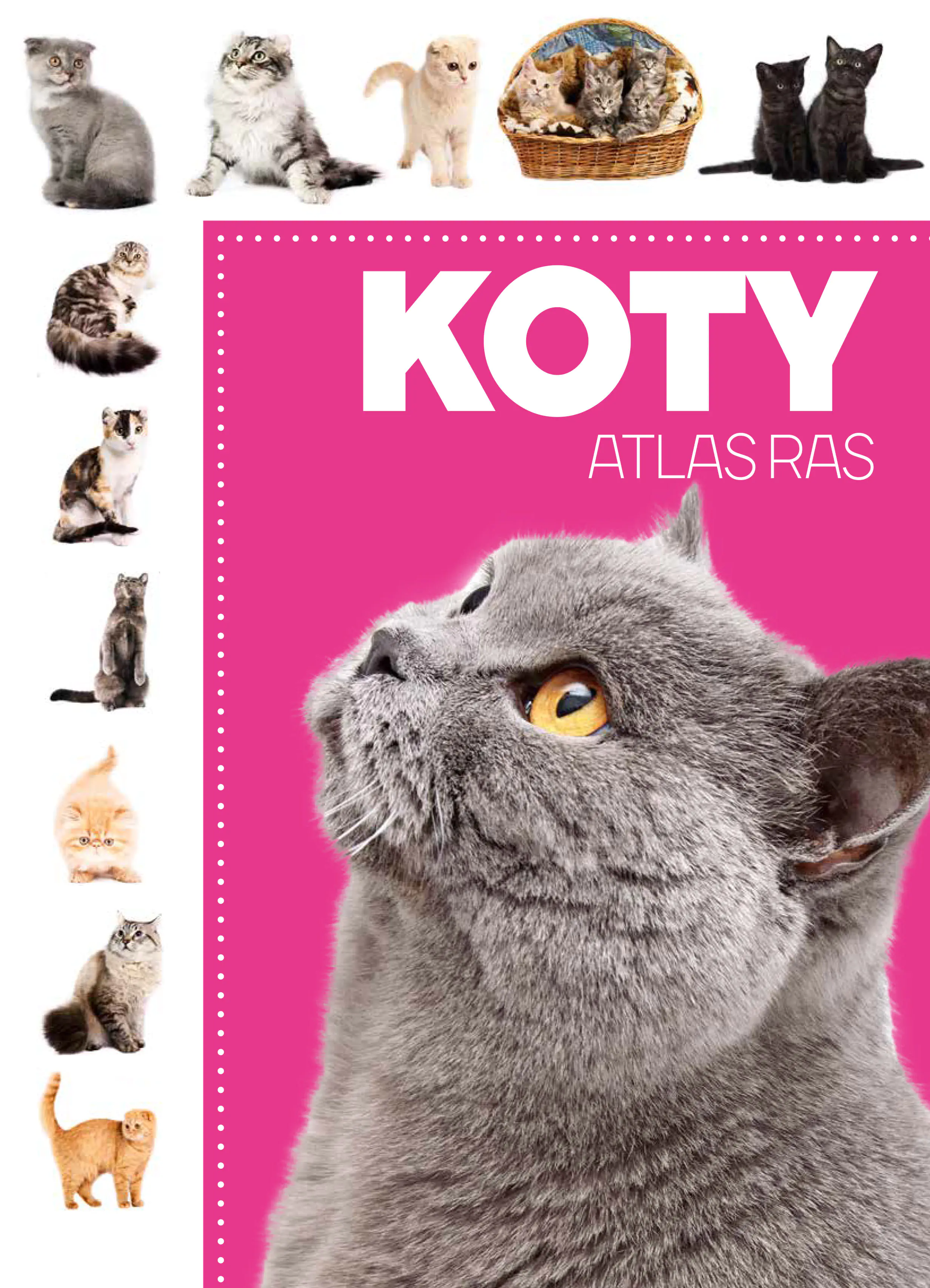 Książka - Koty. Atlas ras