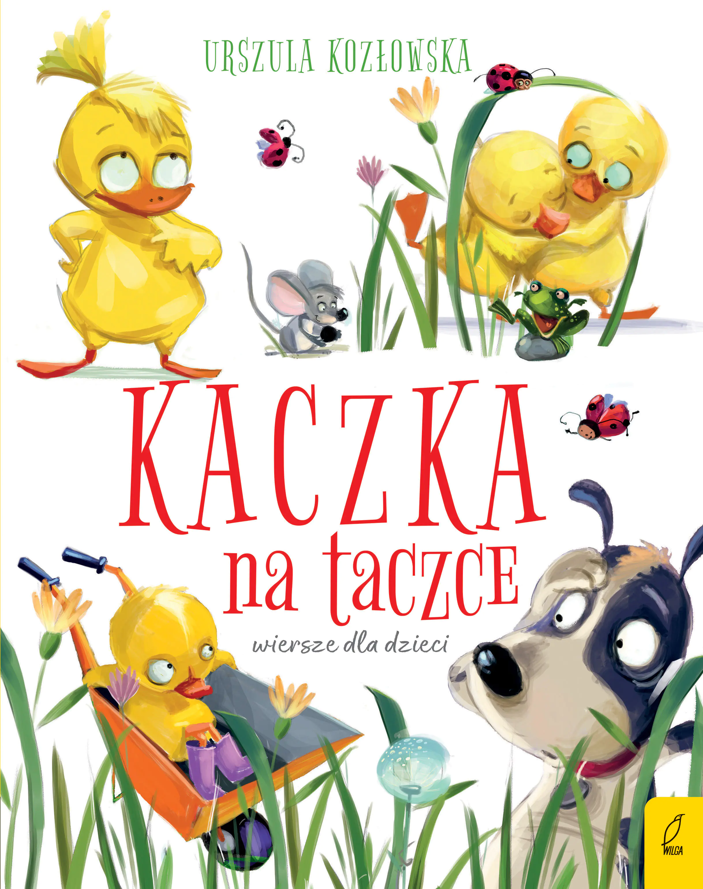Książka - Kaczka na taczce. Wiersze dla dzieci