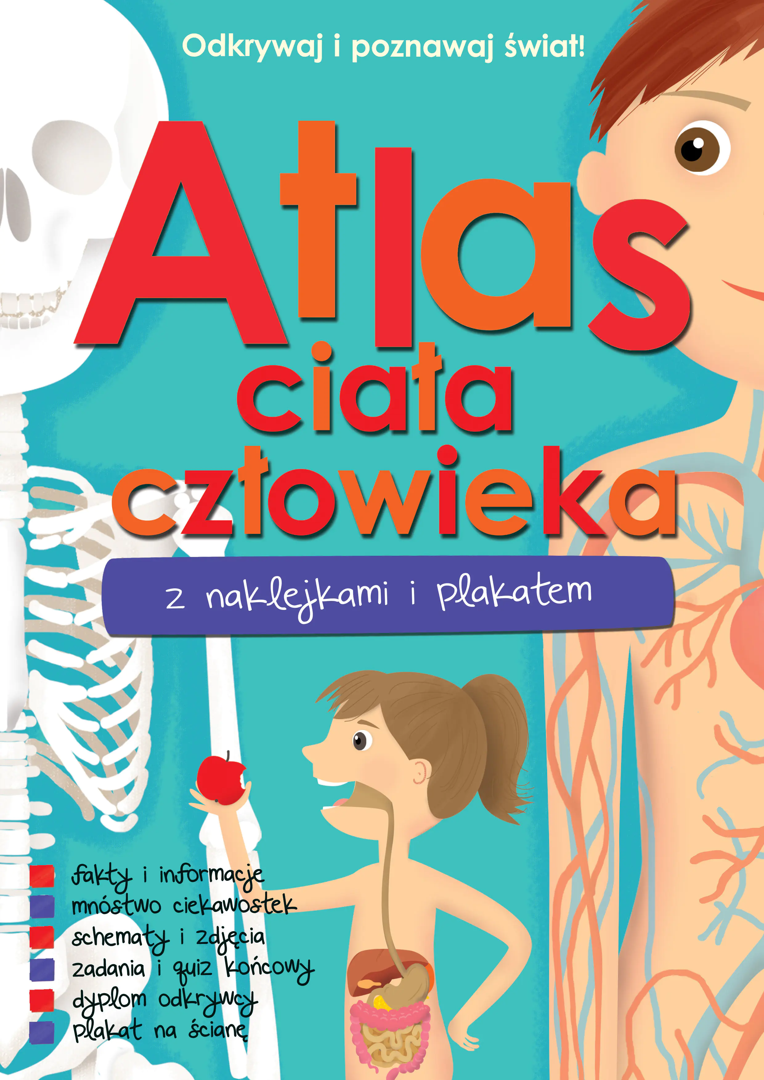 Książka - Atlas ciała człowieka z naklejkami i plakatem