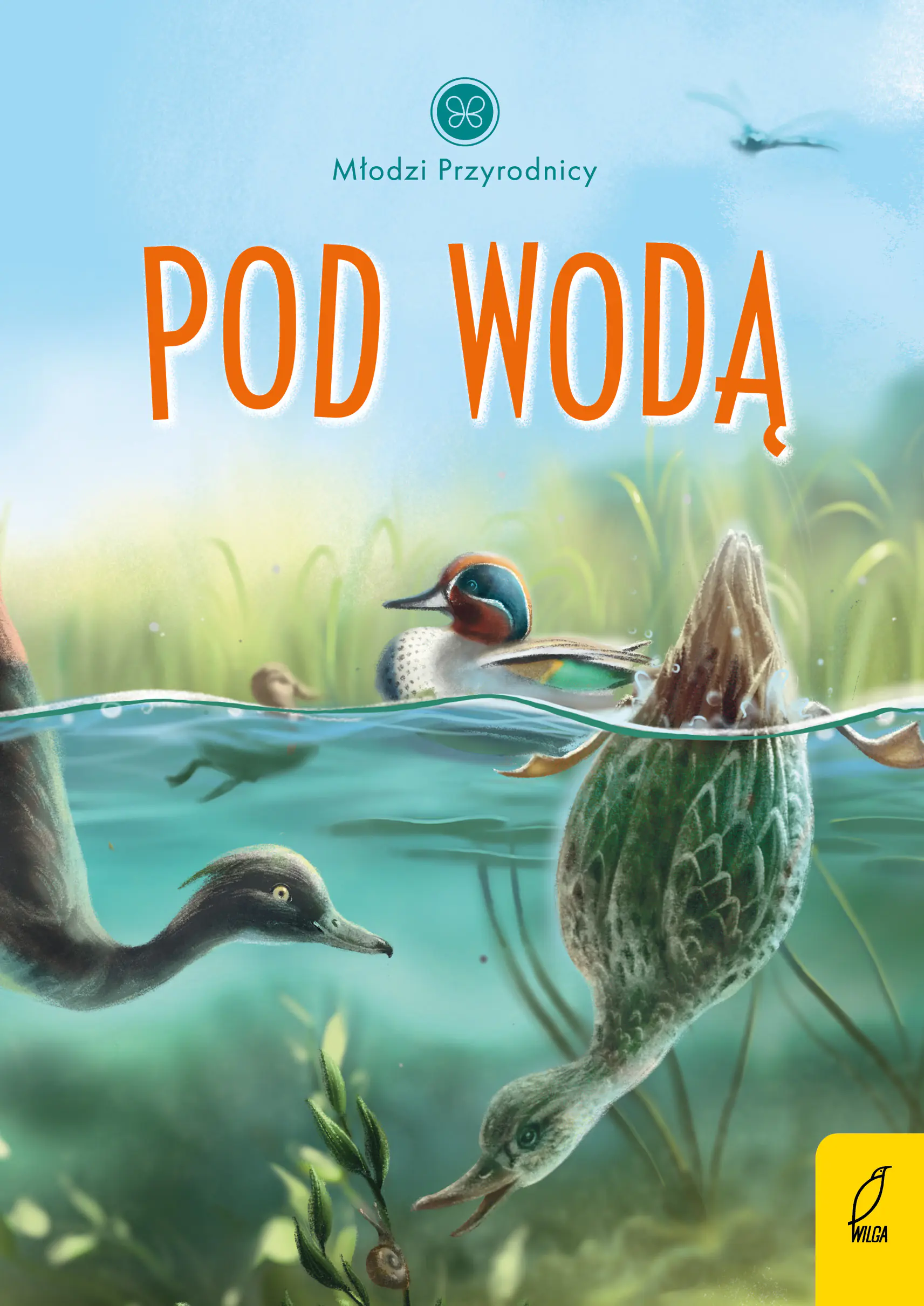 Książka - Pod wodą. Młodzi przyrodnicy