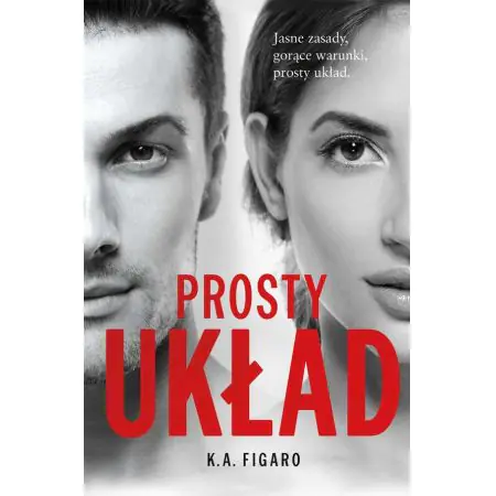 Prosty układ