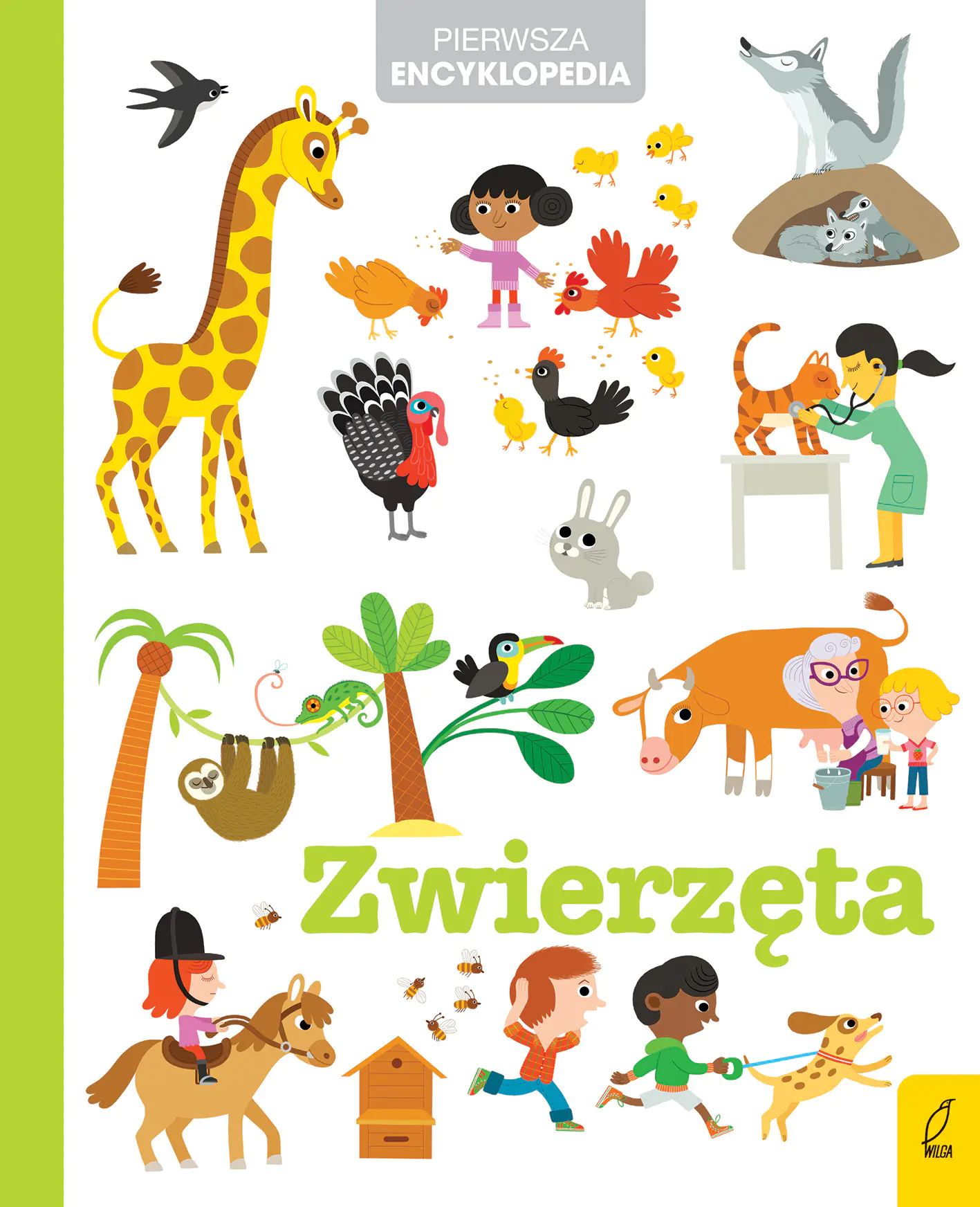Książka - Zwierzęta. Pierwsza encyklopedia