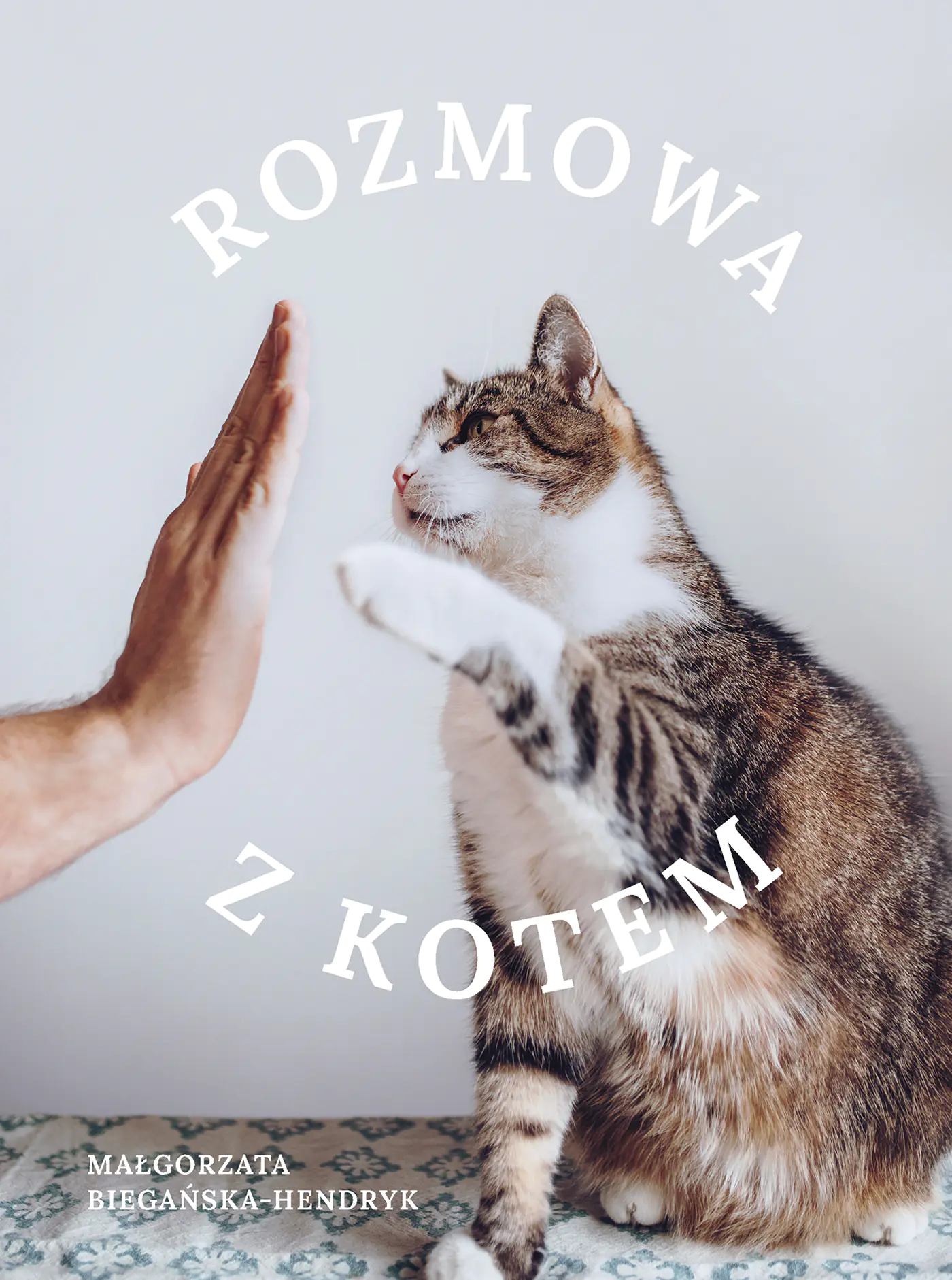 Książka - Rozmowa z kotem