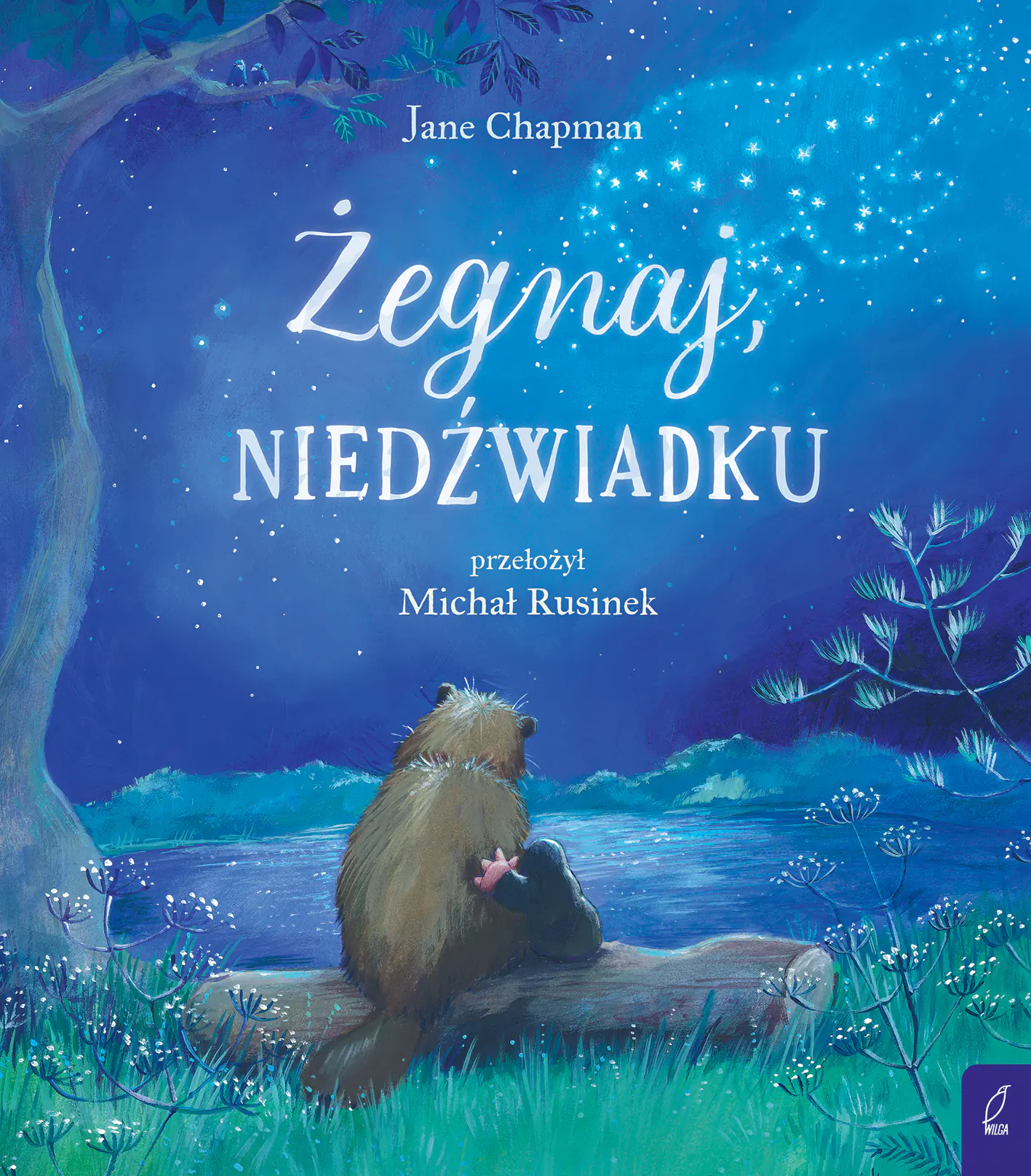 Książka - Żegnaj, niedźwiadku