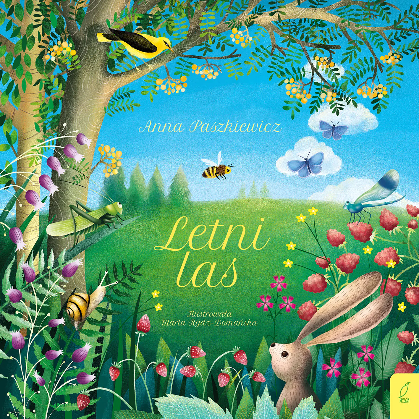 Książka - Letni las