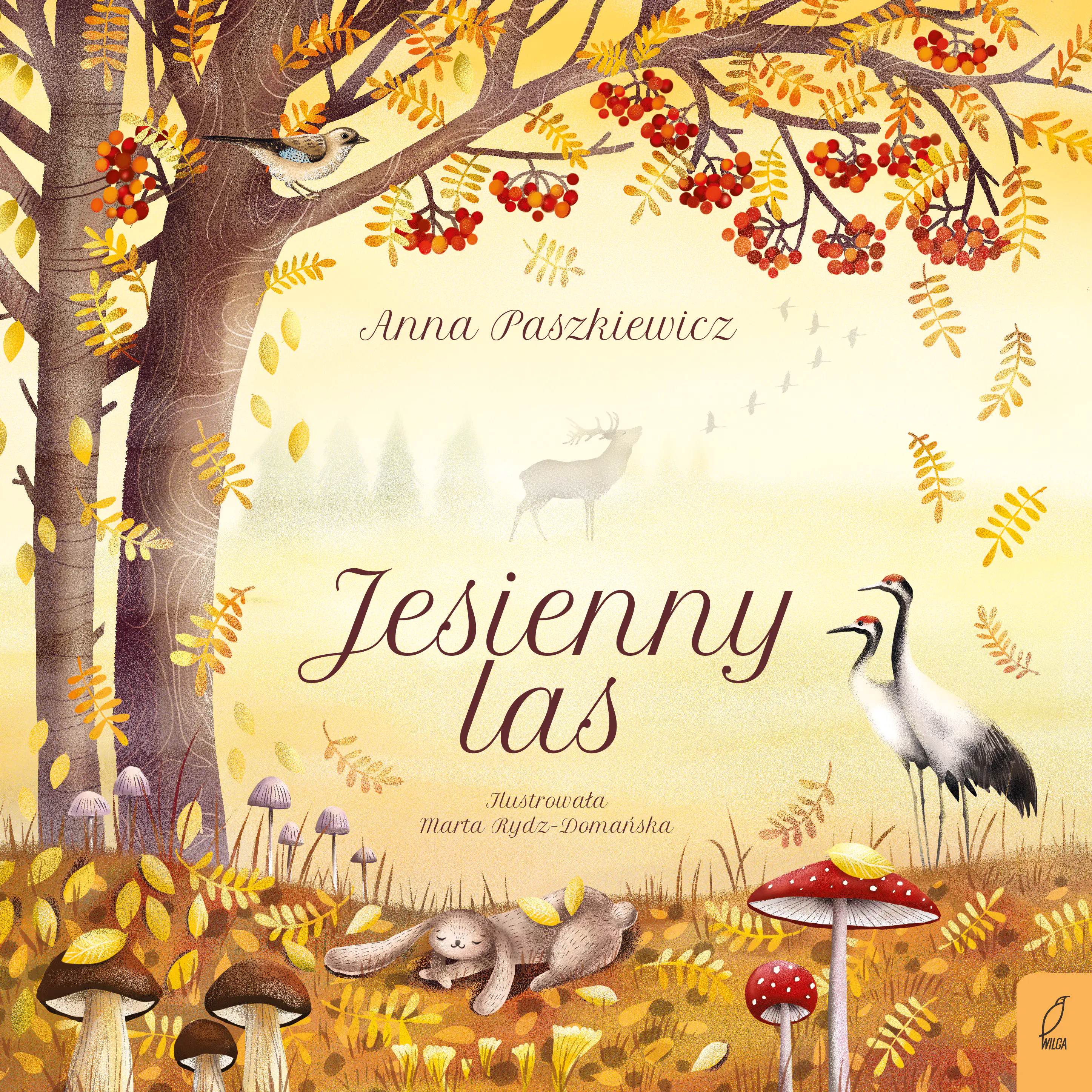 Książka - Jesienny las