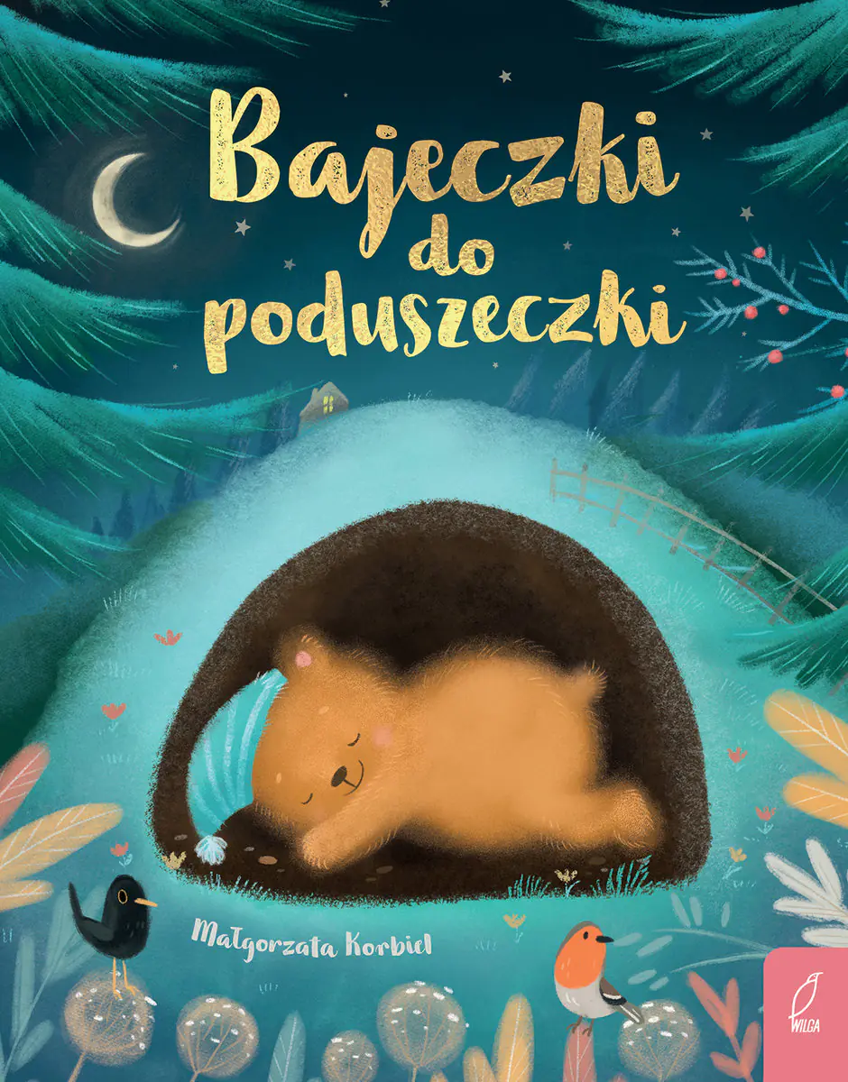 Książka - Bajeczki do poduszeczki