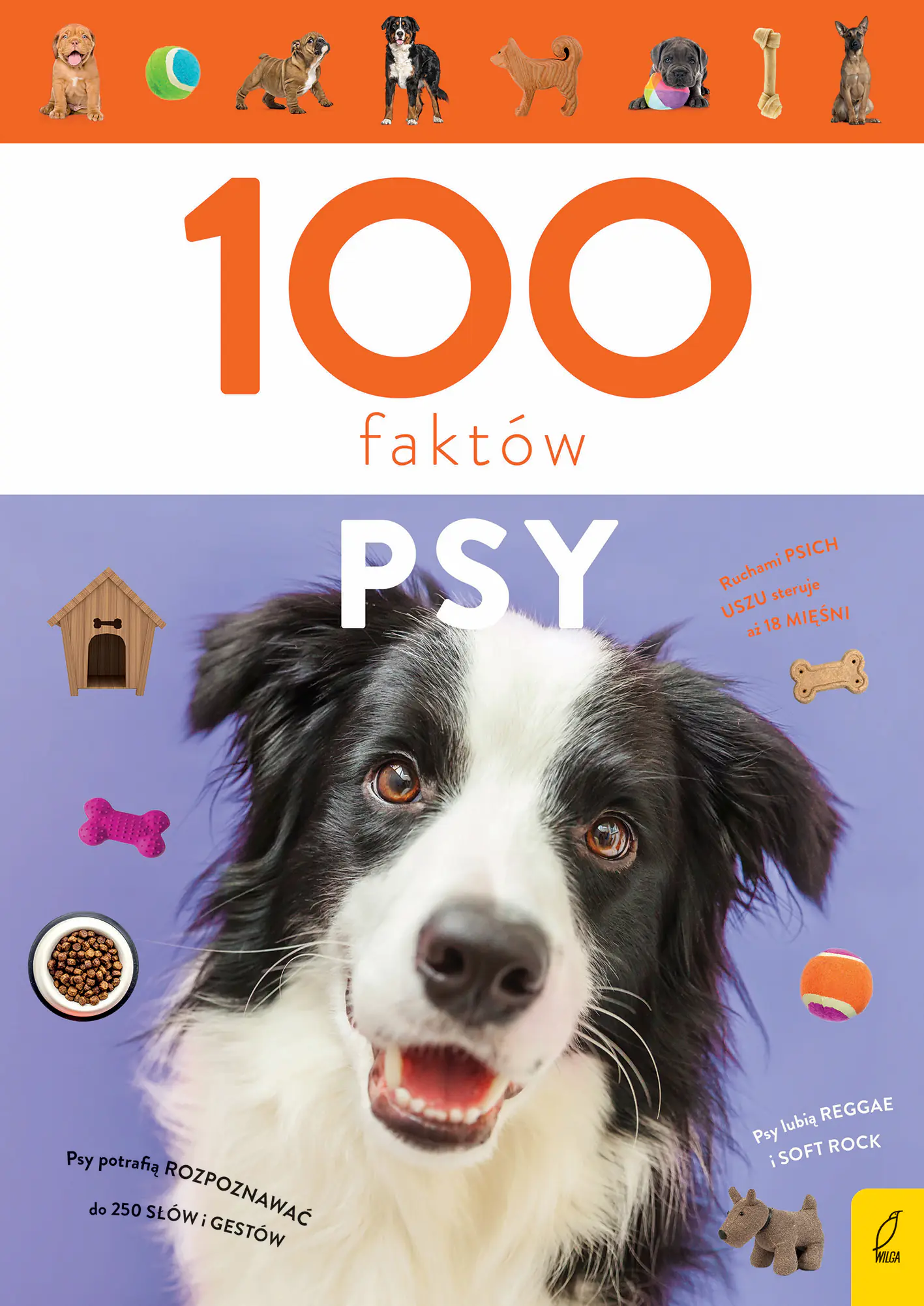 Książka - Psy. 100 faktów