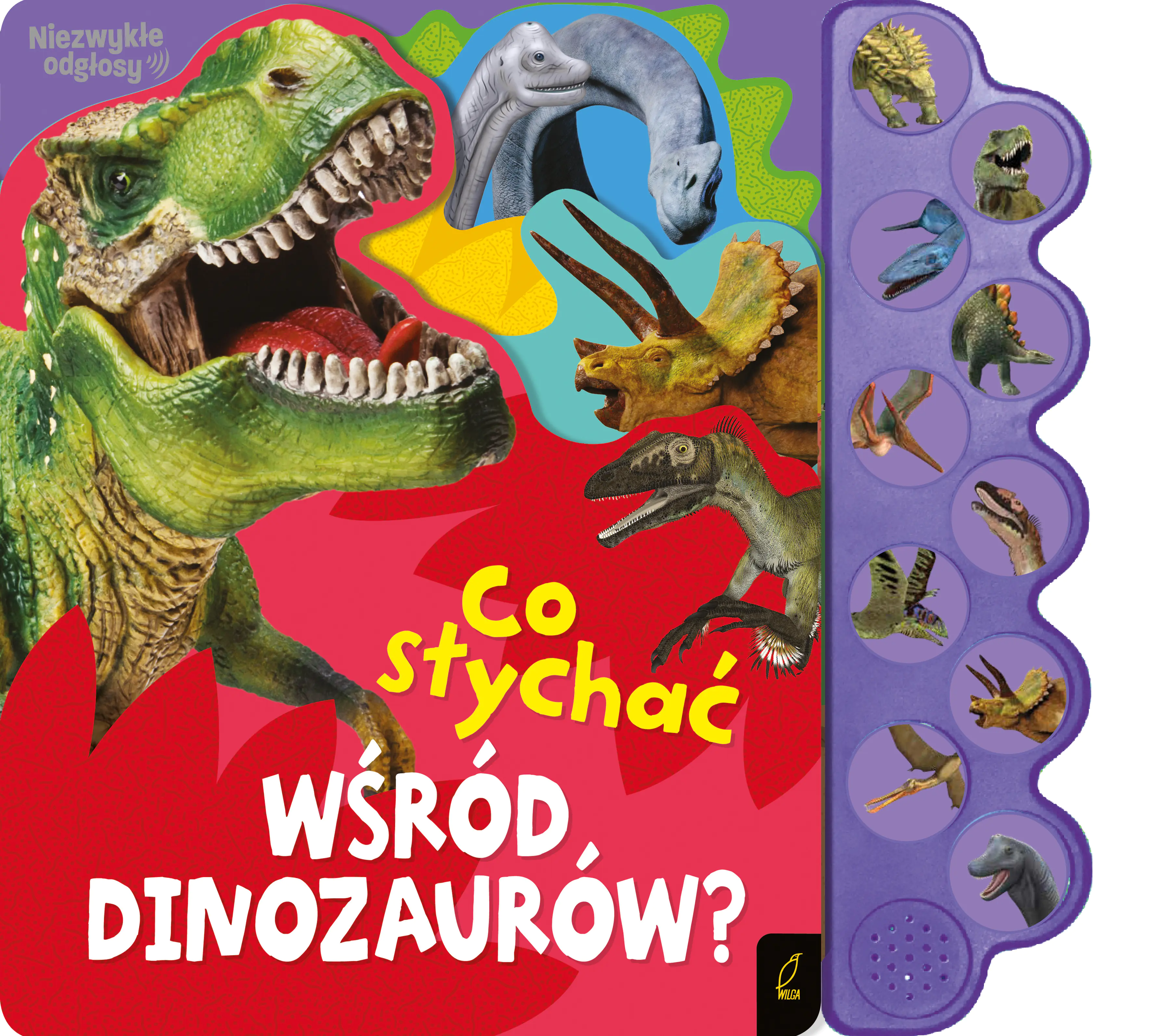Książka - Co słychać wśród dinozaurów?