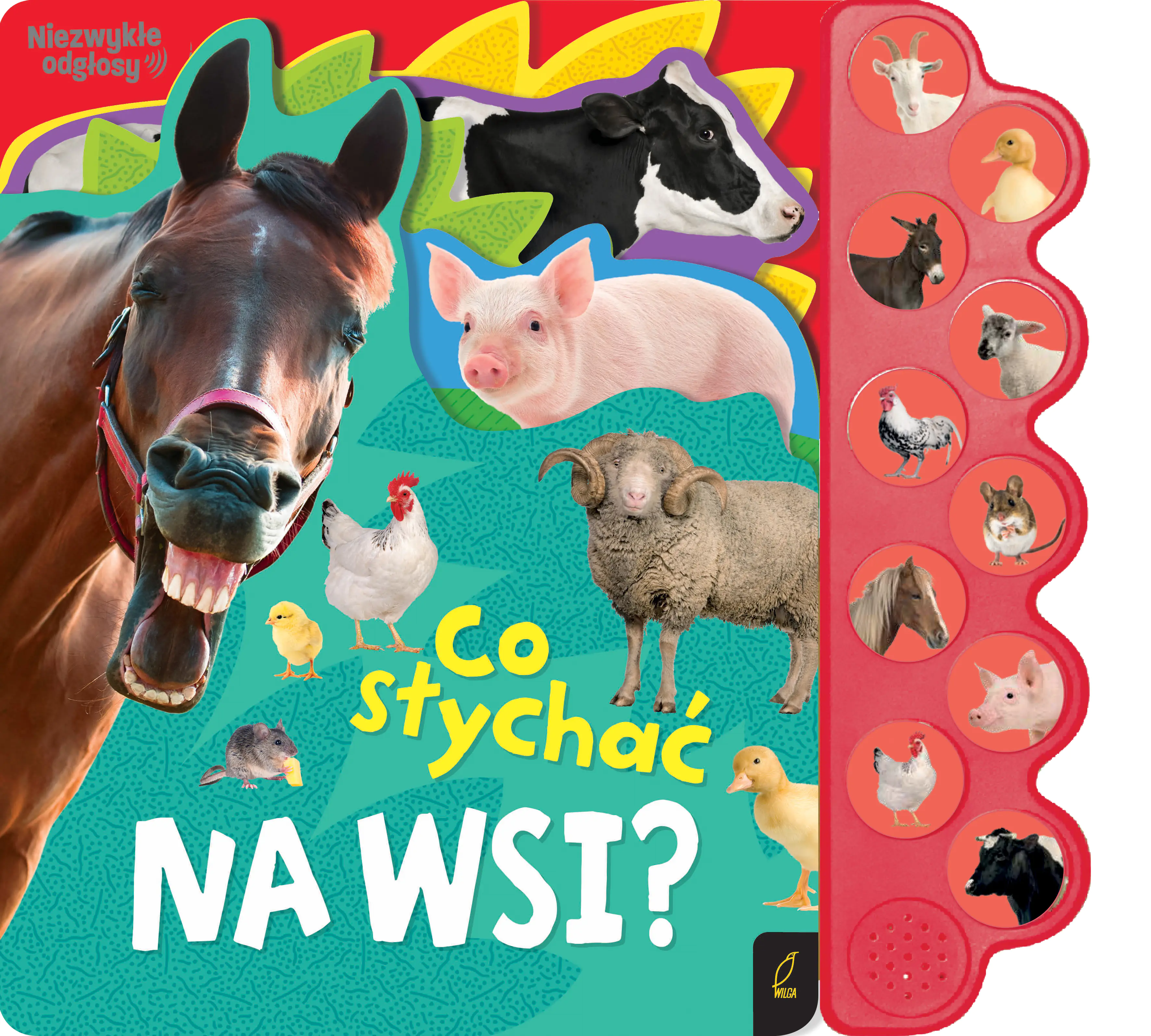 Książka - Co słychać na wsi?