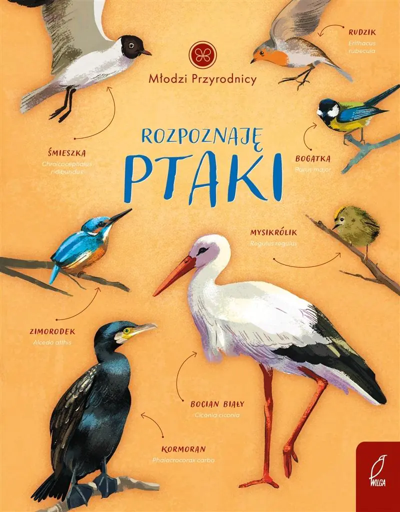 Książka - Rozpoznaję ptaki. Młodzi przyrodnicy