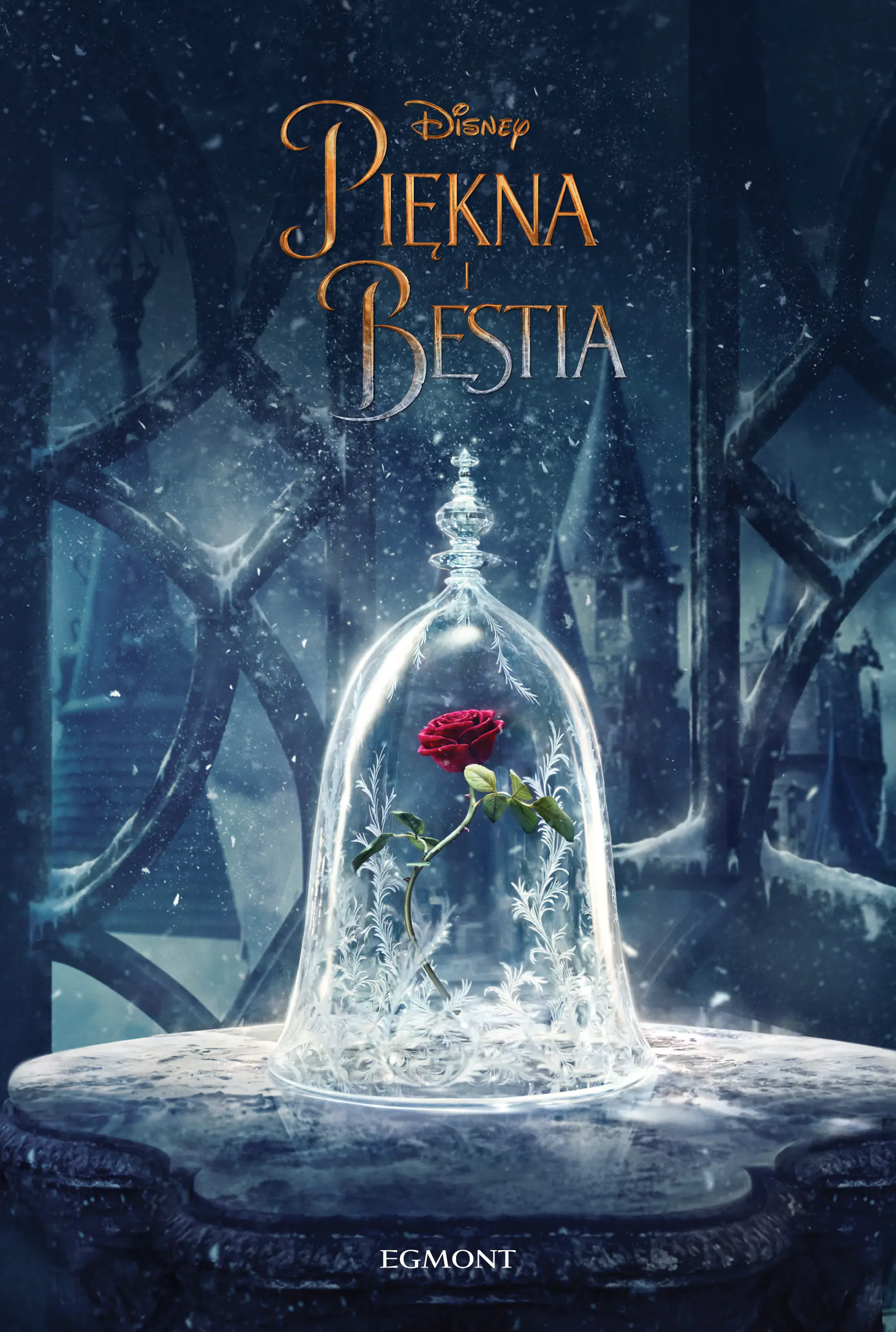 Książka - Piękna i Bestia