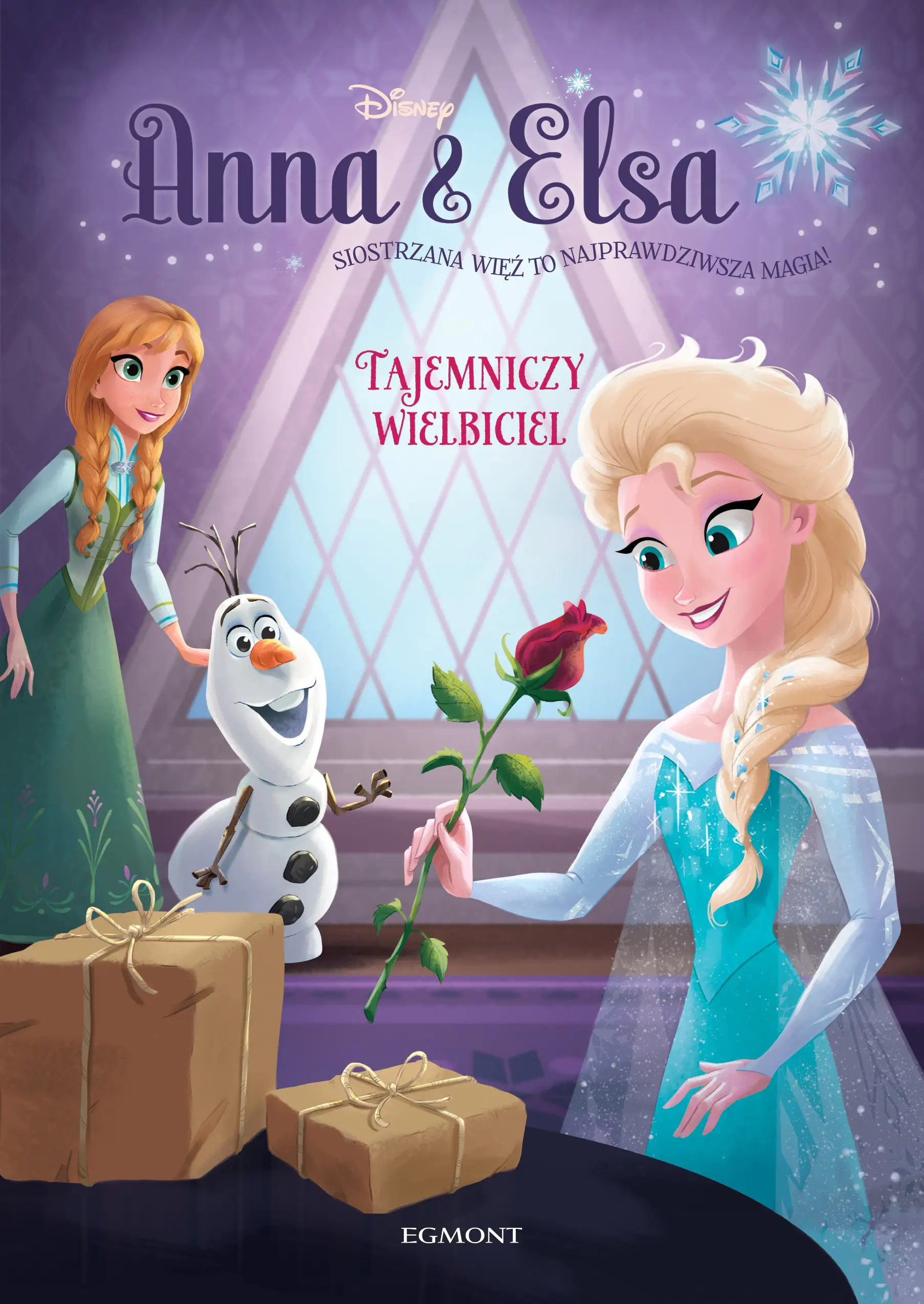 Książka - Anna i Elsa. Tajemniczy wielbiciel