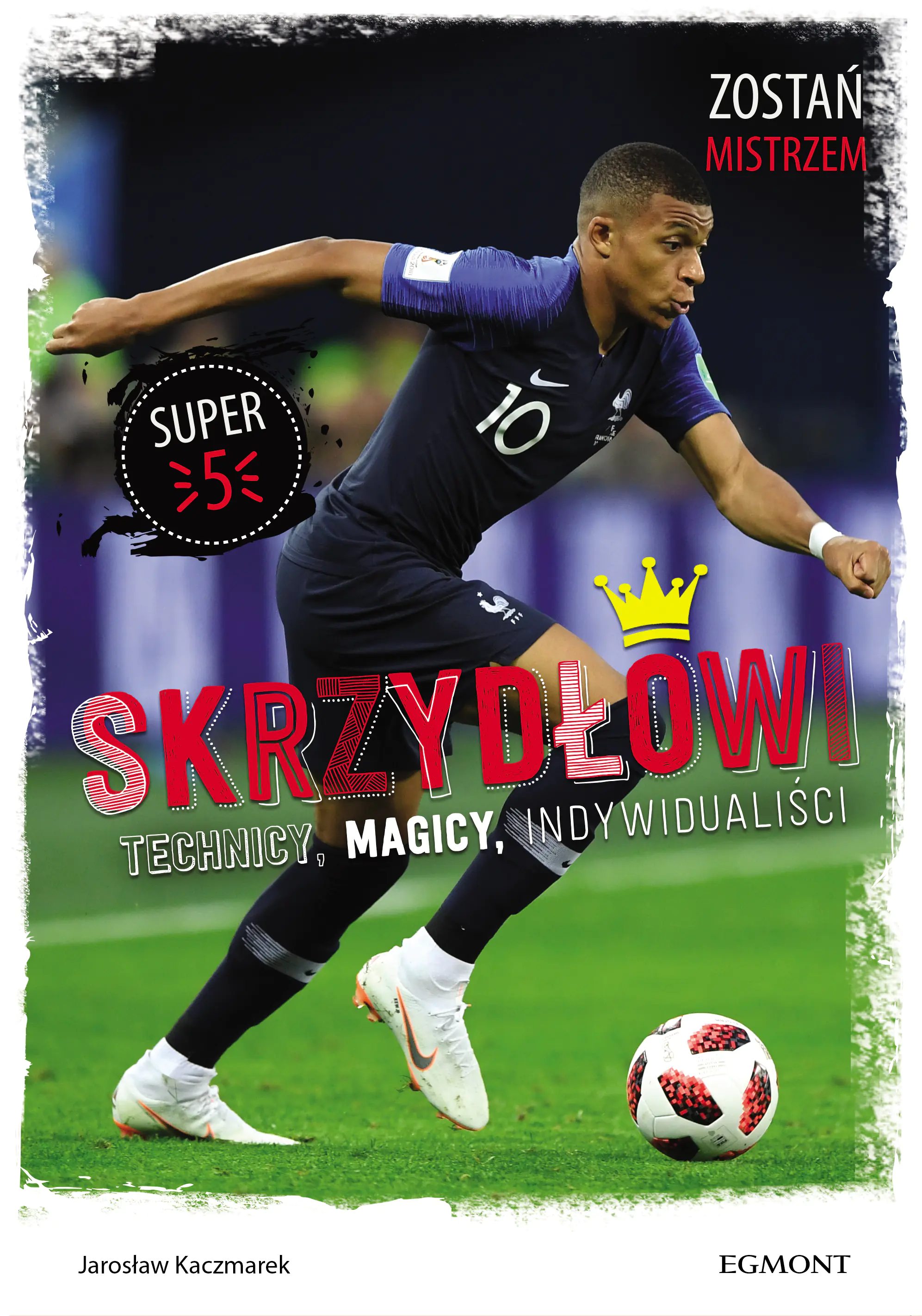 Książka - Skrzydłowi. Technicy, magicy, indywidualiści