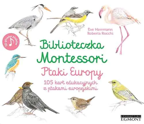 Książka - Ptaki Europy. Biblioteczka Montessori