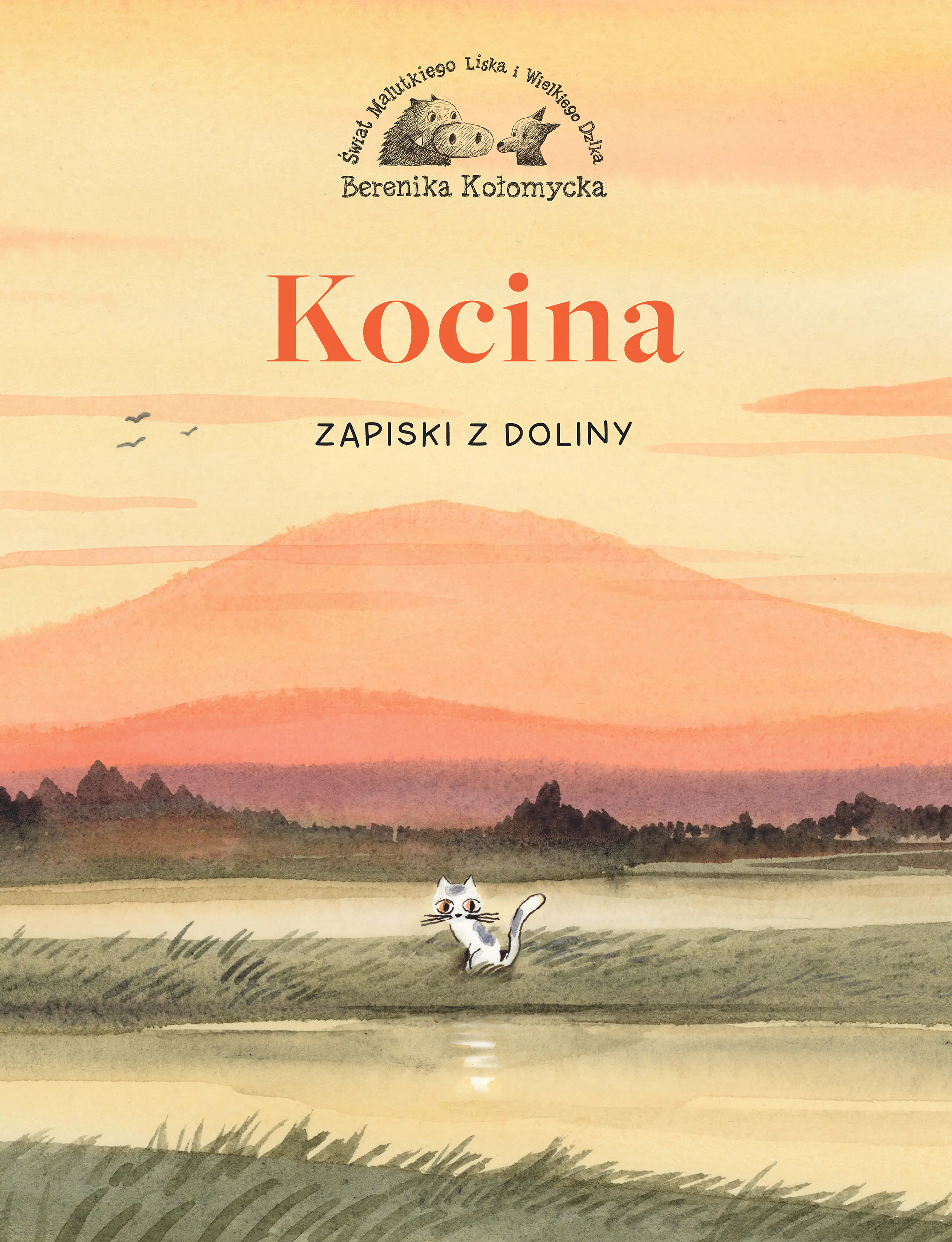 Książka - Kocina. Zapiski z Doliny