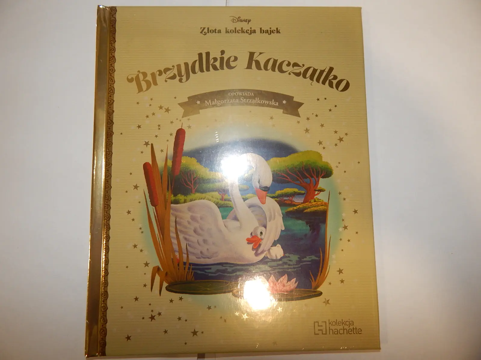 Książka - Brzydkie Kaczątko